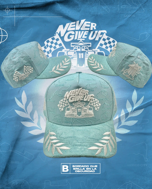 “F1 NEVER GIVE UP”